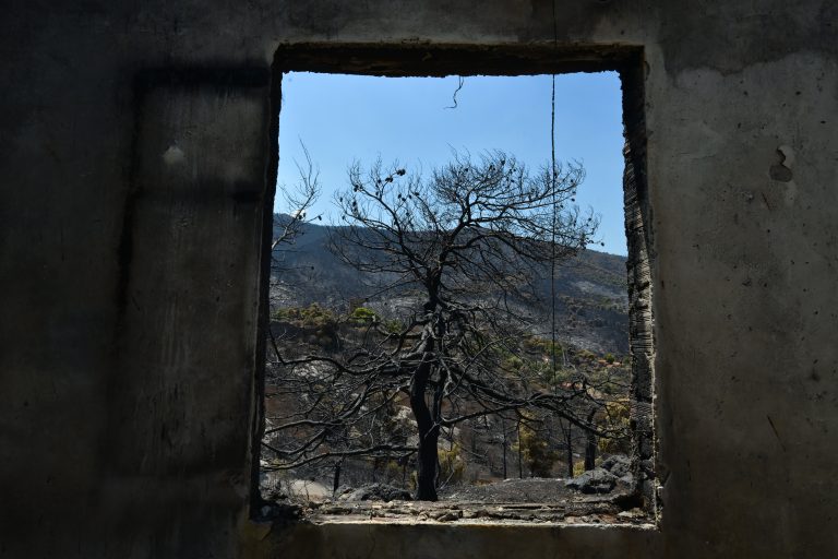Οδοιπορικό στα καμένα του Πόρτο Γερμενού – Η επόμενη ημέρα της καταστροφής