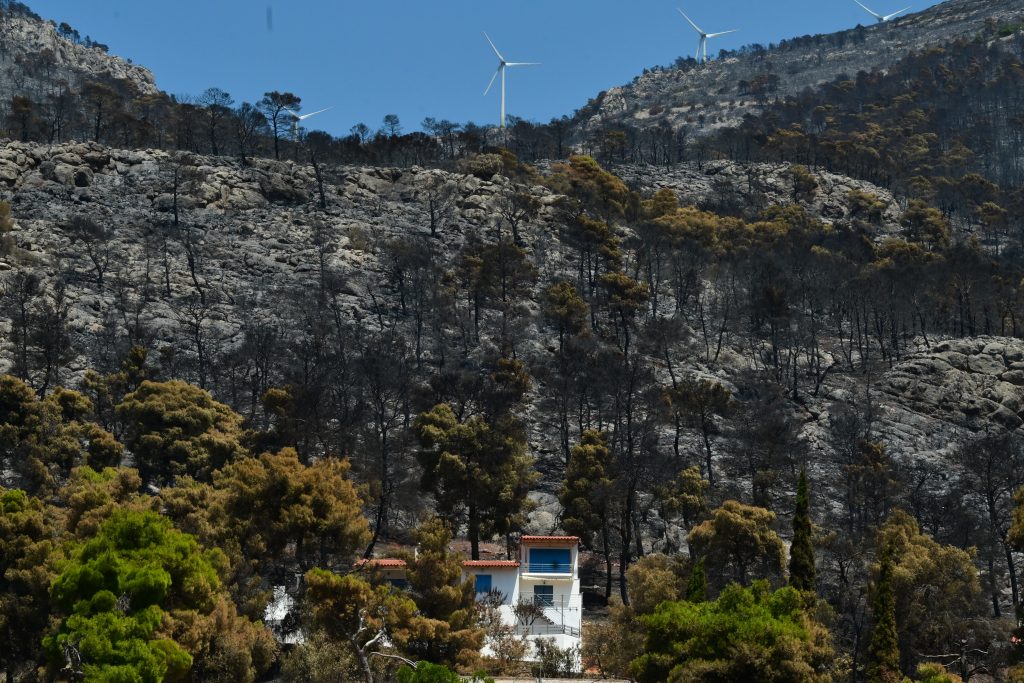 Δυτική Αττική: Η επόμενη ημέρα της καταστροφής ανάμεσα στη στάχτη και τα αποκαΐδια – Το αποτύπωμα της φωτιάς