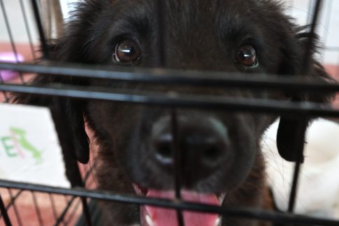 Συνάντηση Μητσοτάκη-Αγγελούδη για ΔΕΘ: Η μεγαλύτερη αστική ανάπλαση στη Βόρεια Ελλάδα