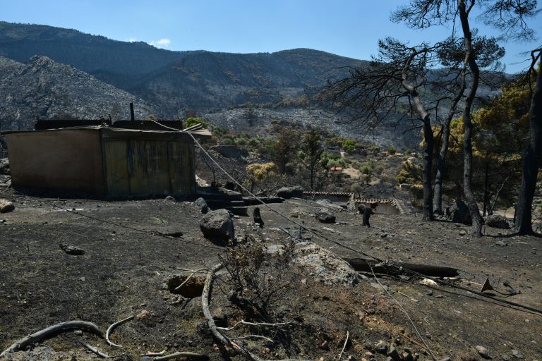 Κ. Κατσαφάδος: Μέχρι αύριο θα έχουν ολοκληρωθεί οι αυτοψίες στο Πόρτο Γερμενό – Το μήνυμα είναι ένα και απλό, κανέναν δεν θα αφήσουμε αβοήθητο