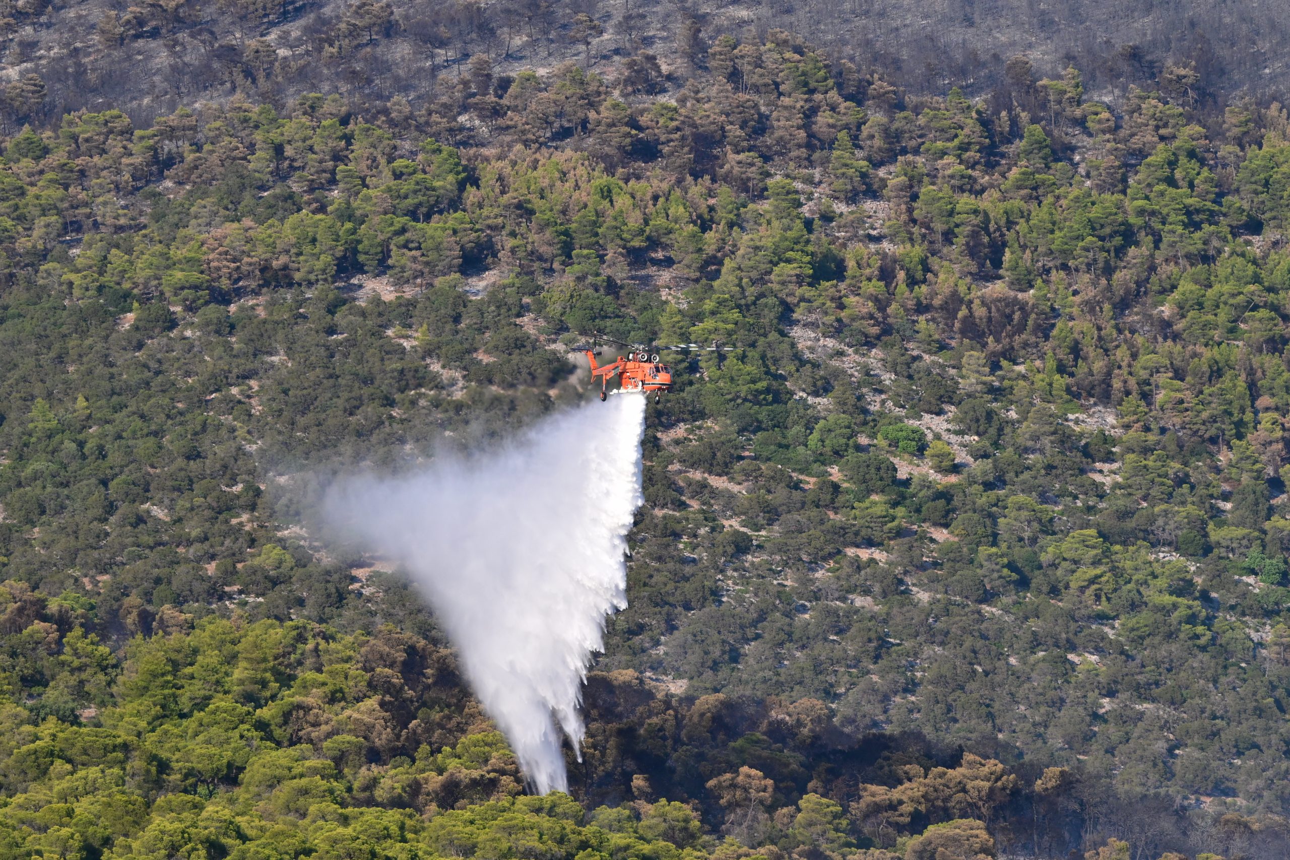 CorfuNews image