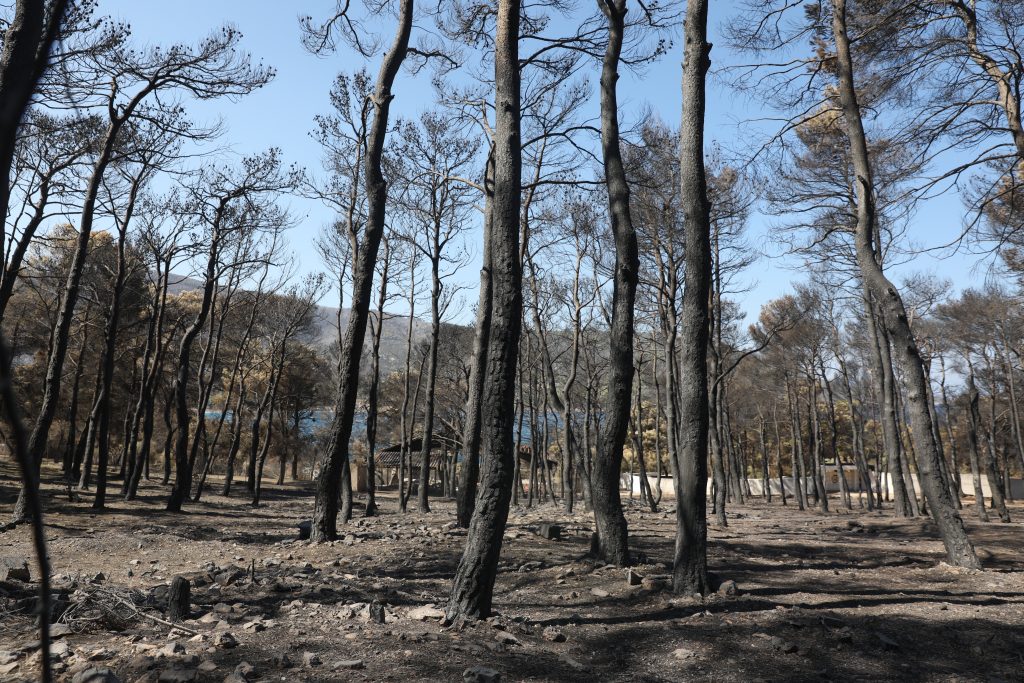 Πώς έγινε η επιχείρηση διάσωσης πολιτών από το Πυροσβεστικό Σώμα στην πυρκαγιά στην Αττικοβοιωτία