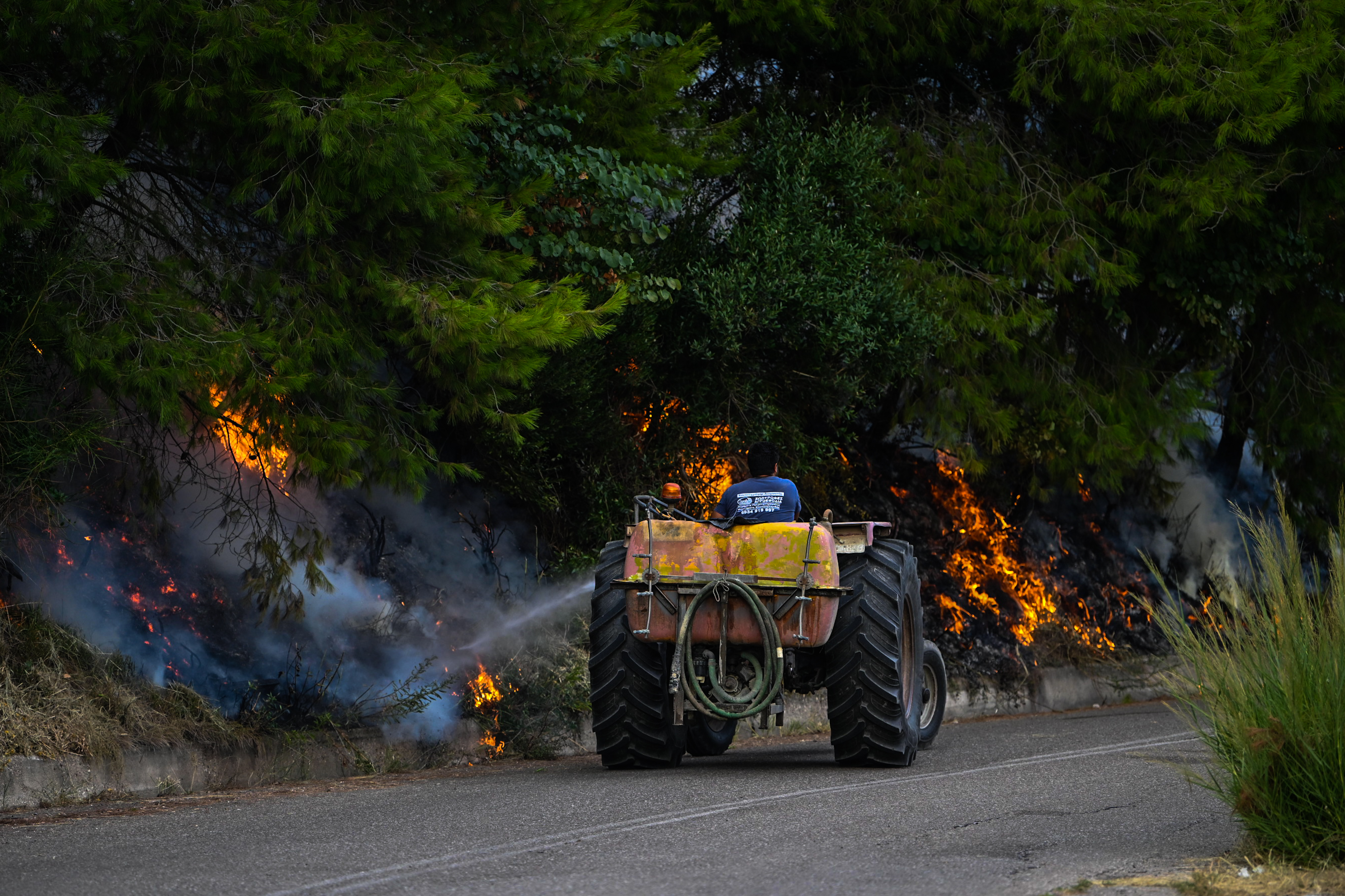 Σε ύφεση η φωτιά στο Μουζάκι Ηλείας – Μάχη με τις διάσπαρτες εστίες