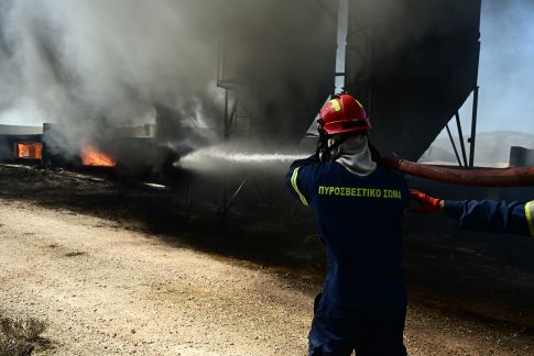 Νέα ημερομηνία για τον «Οιδίποδα» του Χουβαρδά στο <strong>Δημοτικό Θέατρο Λυκαβηττού</strong>