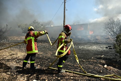 Κορυφώνονται στο Ζάππειο <br> οι εκδηλώσεις για την Ημέρα Εθελοντή Αιμοδότη