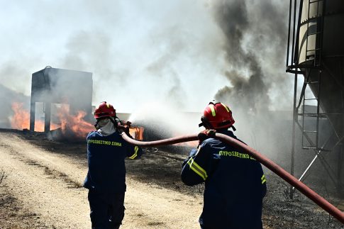 <strong>Το 6<sup>ο</sup> Φεστιβάλ ΚΔΑΠμεΑ του δήμου Νεάπολης-Συκεών την Παρασκευή 22 Μαΐου στο ΔΑΚ Πεύκων</strong>