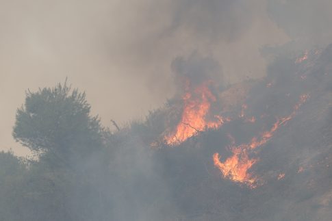 Ένθετο Γεωργία: <strong>Φόβοι για μείωση της αγοράς κρασιού στη Σαντορίνη λόγω σεισμών </strong>