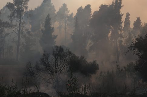 Θεσσαλονίκη: Δωμάτια στους πληγέντες από την πυρκαγιά στη Χαλκιδική διαθέτουν οι ξενοδόχοι