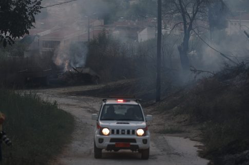 Καλαμάτα: “Ανθίζει η πόλη όταν ανθίζουν τα μπαλκόνια”
