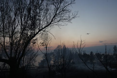 <strong>Πυροσβεστική: 22 αγροτοδασικές πυρκαγιές το τελευταίο εικοσιτετράωρο σε όλη την χώρα</strong>