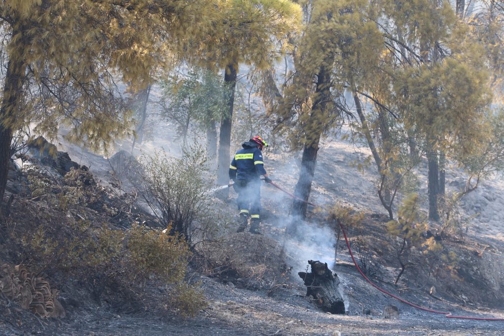 Σαλαμίνα: Δύο νεκροί από την πυρκαγιά στα Περιστέρια – Σπίτια παραδόθηκαν στις φλόγες