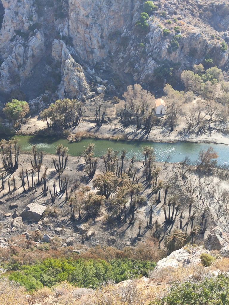 Ρέθυμνο: Σε ύφεση η φωτιά, αλλά οι άνεμοι κρατούν σε συναγερμό τις δυνάμεις – Στο πεδίο 220 πυροσβέστες