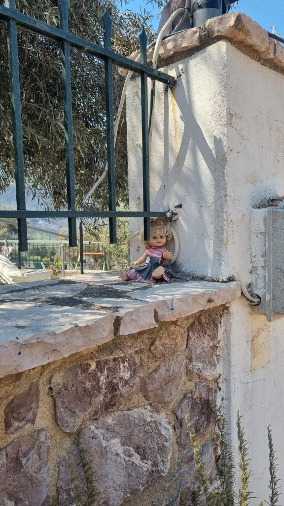 Ψάθα: Το σύστημα Αntinero έσωσε σημαντικό τμήμα δάσους – Συνεχίζεται η μάχη για τις διάσπαρτες εστίες