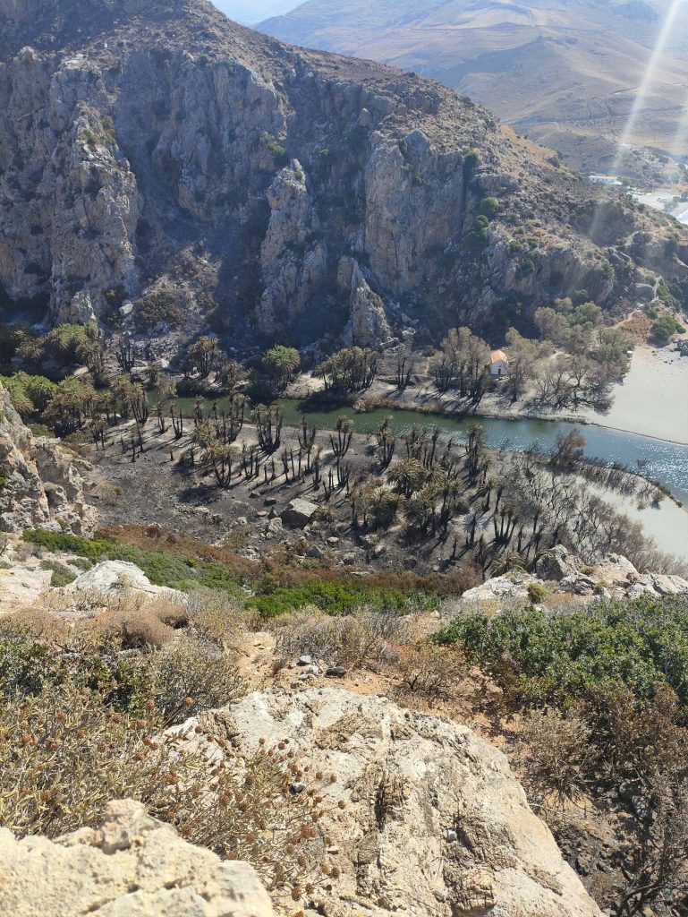 Ρέθυμνο: Σε ύφεση η φωτιά, αλλά οι άνεμοι κρατούν σε συναγερμό τις δυνάμεις – Στο πεδίο 220 πυροσβέστες