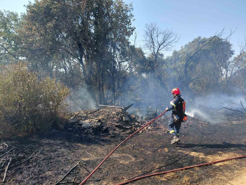 Υπό έλεγχο η φωτιά στην Αγία Μαρίνα Ηλείας – Έσπευσαν ισχυρές πυροσβεστικές δυνάμεις