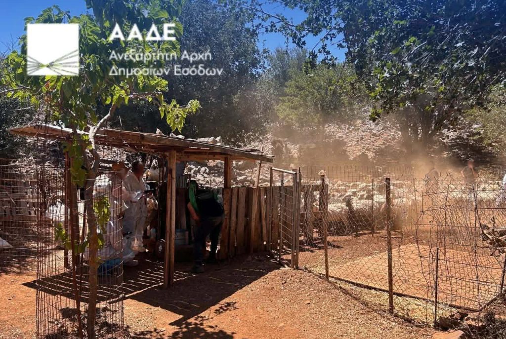 Πρώτος μαζικός έλεγχος επιδοτήσεων από ΑΑΔΕ στην Κρήτη – Εντοπίστηκαν σοβαρές παραβάσεις