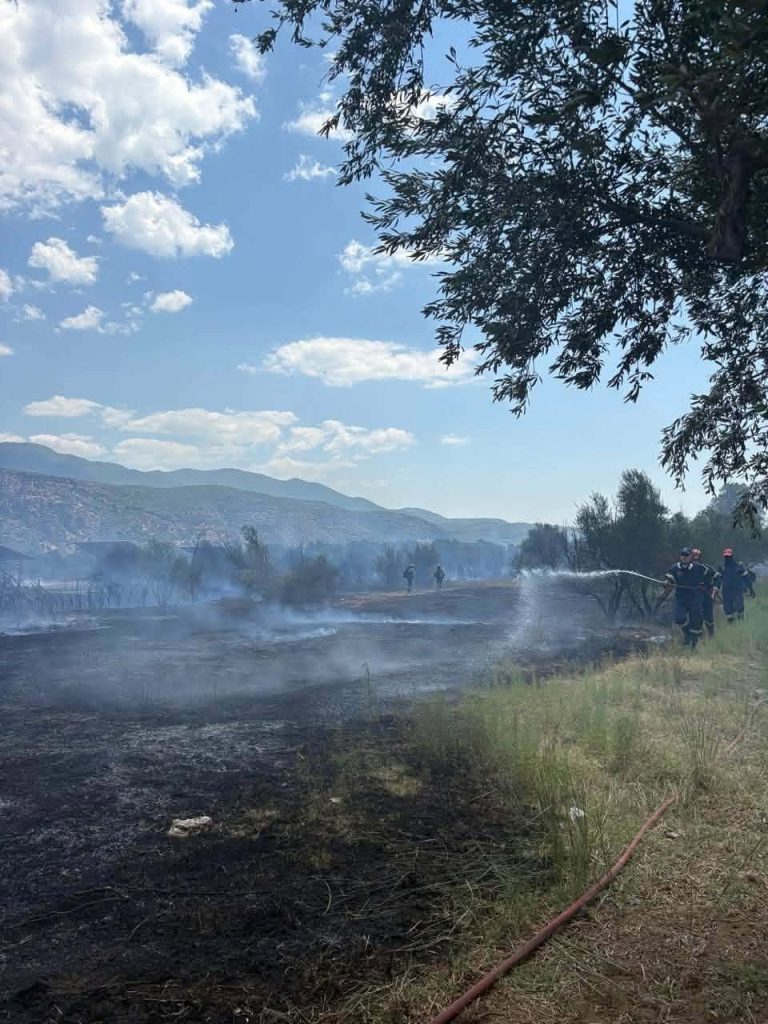 Μεσσηνία: Φωτιά στο Αριοχώρι – Επιχειρούν και εναέρια μέσα