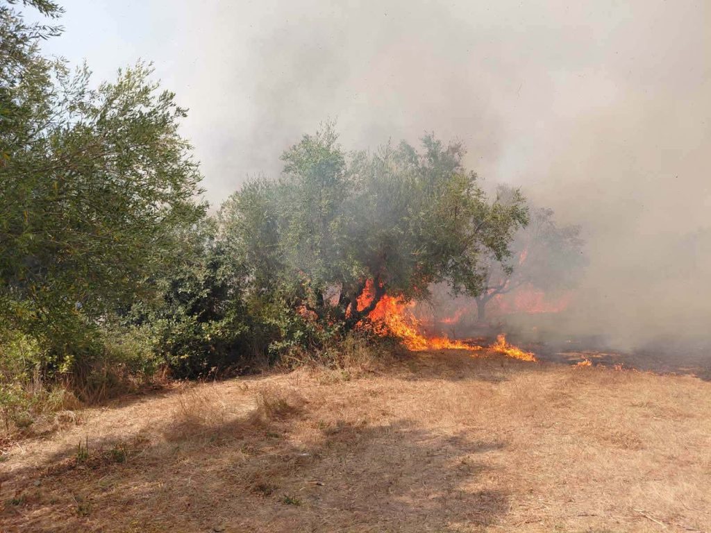 Υπό έλεγχο η φωτιά στην Αγία Μαρίνα Ηλείας – Έσπευσαν ισχυρές πυροσβεστικές δυνάμεις