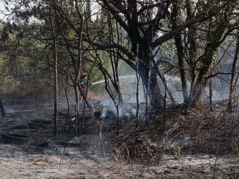 Μικροσκοπικές δίνες ανακαλύφθηκαν για πρώτη φορά στην επιφάνεια του Ήλιου