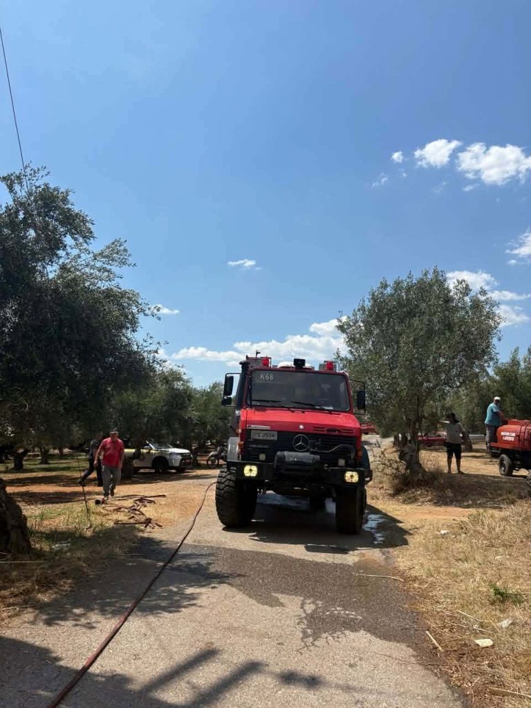 Μεσσηνία: Φωτιά στο Αριοχώρι – Επιχειρούν και εναέρια μέσα