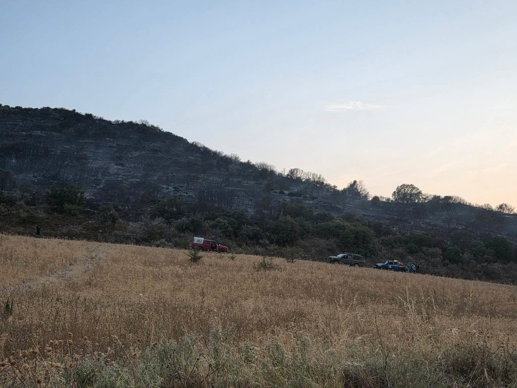 Φωτιά καίει πευκοδάσος κοντά στον Προφήτη Ηλία στις Αλυκές – Ορατός ο καπνός και στην πόλη του Βόλου