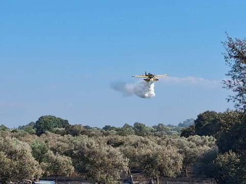 ΕΕ: Οριστικοποιήθηκε το πρόγραμμα ακροάσεων των ορισθέντων Επιτρόπων – Στις 4 Νοεμβρίου του <strong>Απόστολου Τζιτζικώστα</strong>