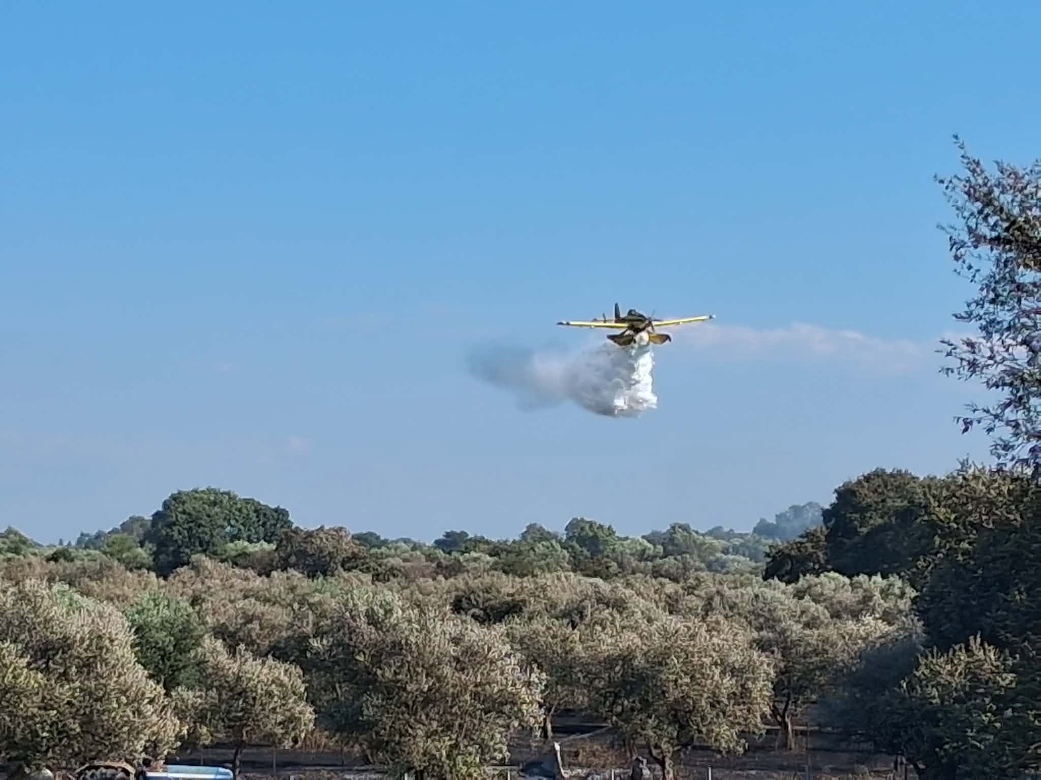 Υπό έλεγχο η φωτιά στην Αγία Μαρίνα Ηλείας – Έσπευσαν ισχυρές πυροσβεστικές δυνάμεις