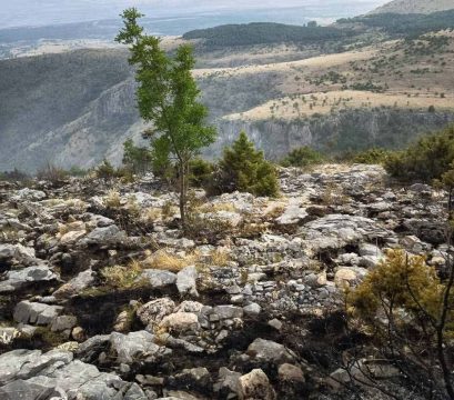 Πτολεμαΐδα: Ένα γιγαντιαίο προφιτερόλ 30 μέτρων γίνεται σύμβολο αλληλεγγύης για πυρόπληκτο ζευγάρι