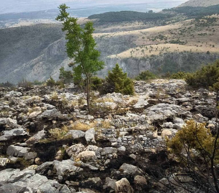 Κοζάνη: Οριοθετήθηκε η φωτιά στην Ερμακιά – Σβήστηκαν άλλες δύο