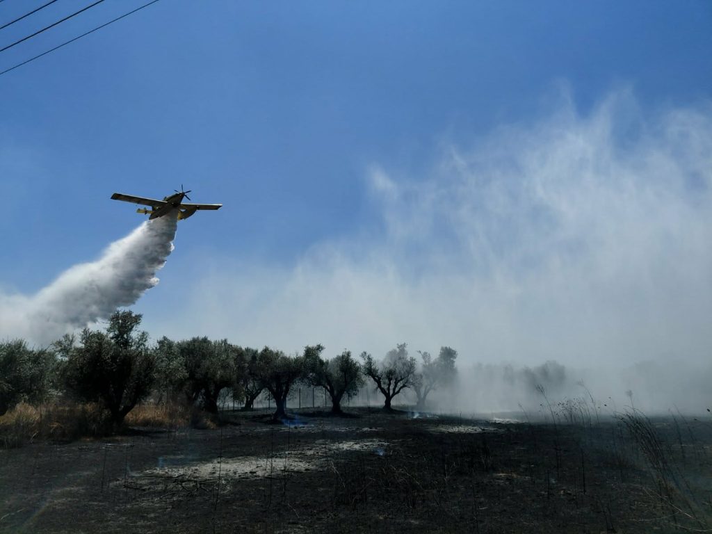 Ηλεία: Φωτιά σε χαμηλή βλάστηση στο Βαρθολομιό – Σηκώθηκαν 4 εναέρια μέσα