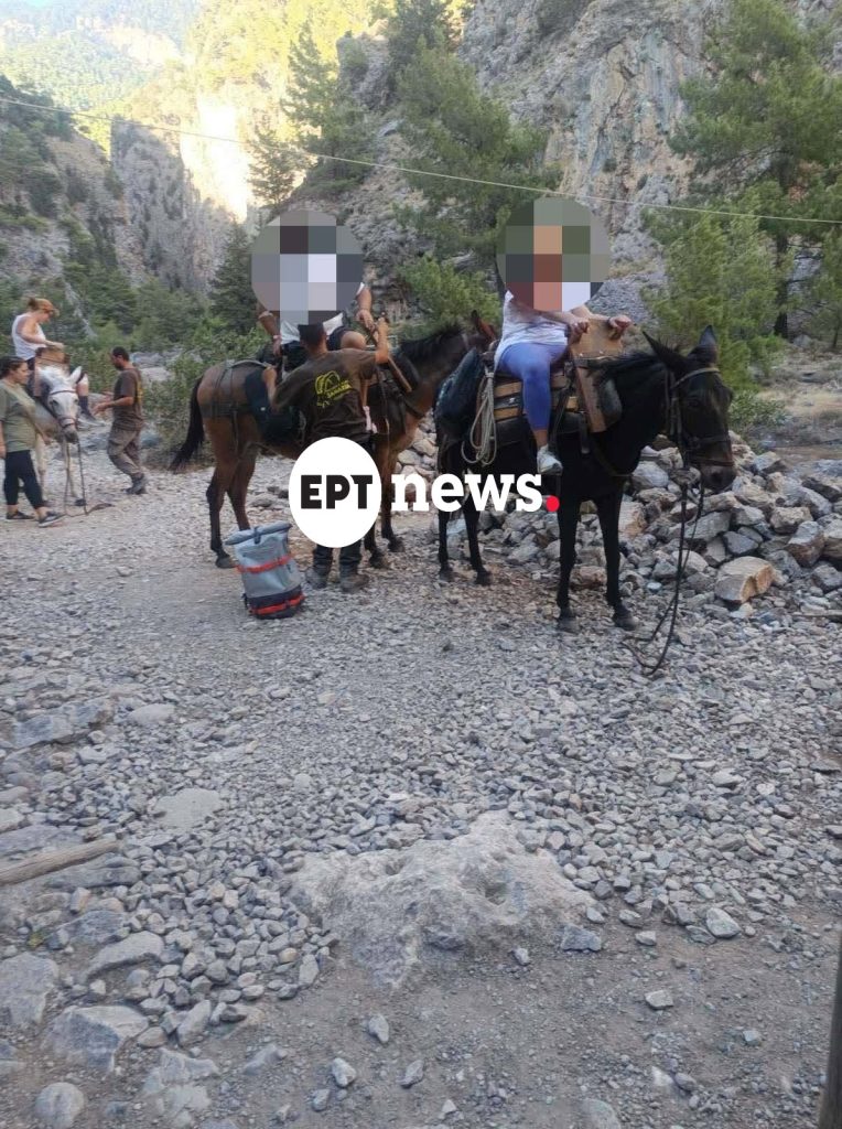 Σαμαριά: Ο απινιδωτής του έσωσε τη ζωή – Αγωνιώδης επιχείρηση διάσωσης για επισκέπτη