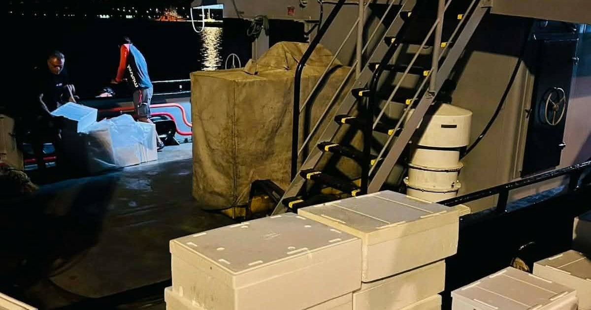 Χανιά: Έκλεβαν ψάρια από τους ιχθυοκλωβούς του ΕΛΚΕΘΕ – Βούτηξε στη θάλασσα για να ξεφύγει ο ένας