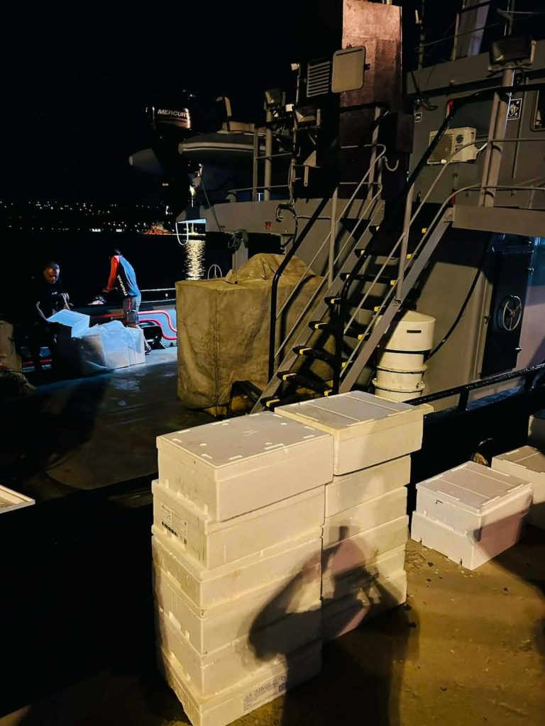 Χανιά: Έκλεβαν ψάρια από τους ιχθυοκλωβούς του ΕΛΚΕΘΕ – Βούτηξε στη θάλασσα για να ξεφύγει ο ένας