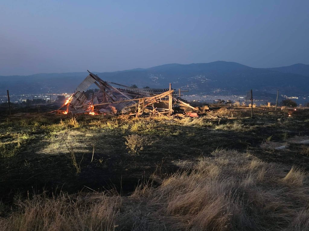 Φωτιά καίει πευκοδάσος κοντά στον Προφήτη Ηλία στις Αλυκές – Ορατός ο καπνός και στην πόλη του Βόλου