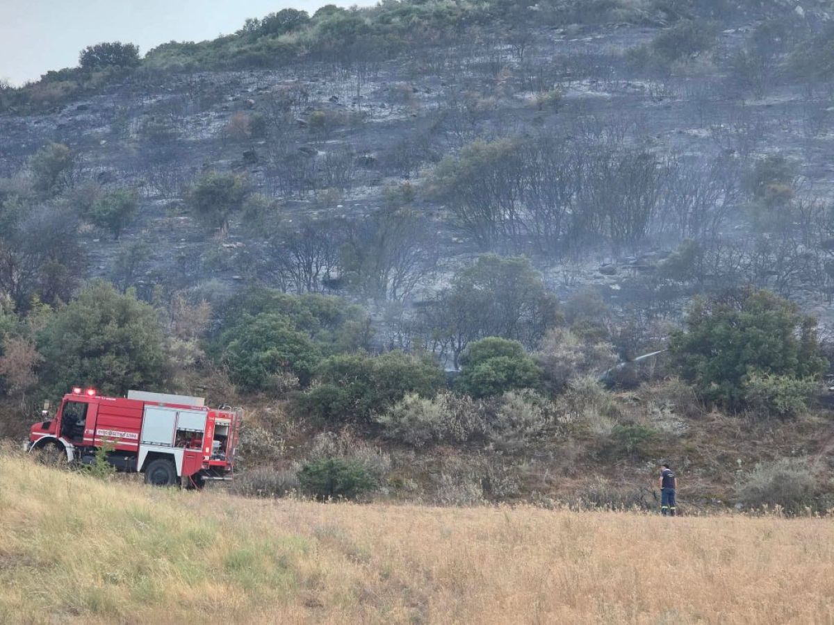 Βόλος: Έρευνες για το πώς ξεκίνησαν οι φωτιές σε Αϊβαλιώτικα, Αλυκές και Σωρό