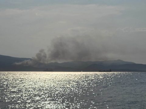 Καστοριά: Απόπειρα αρπαγής ανηλίκων στο πανηγύρι του Δισπηλιού