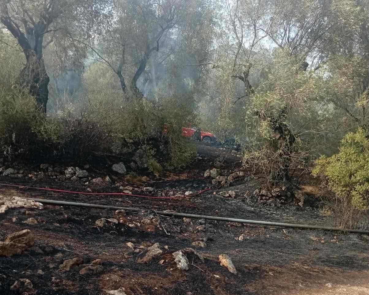 Περιορίστηκε η πυρκαγιά στην περιοχή Σπαρτύλας στην Κέρκυρα