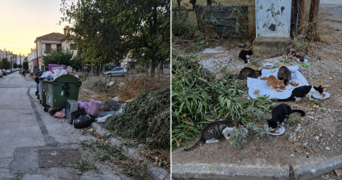 Από το Τρίκερι στην Τίρυνθα: Το θέατρο ξαναφέρνει στο φως τη σιωπηλή ιστορία των εξόριστων γυναικών