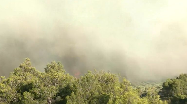 Φωτιά στο Αίγιο: Ολονύχτια μάχη στις Νεραντζιές – Επιχειρούν τέσσερα αεροσκάφη και δύο ελικόπτερα