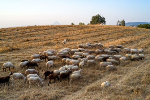 ΗΠΑ: Καλούν τους συμμάχους να ενταχθούν στον συνασπισμό κατά του Ιράν – «Ή είστε μαζί μας ή εναντίον μας»