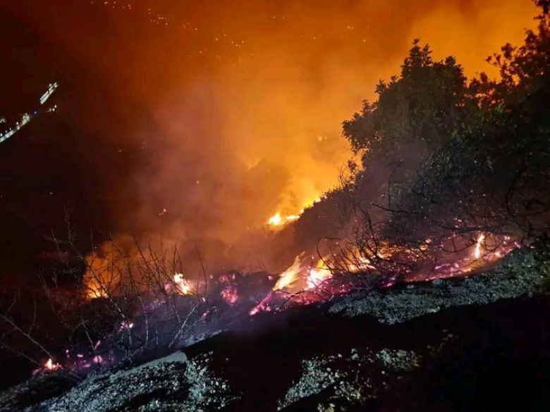 Αλγερία: Τουλάχιστον 12 νεκροί από τις φονικές πυρκαγιές που σαρώνουν τη χώρα