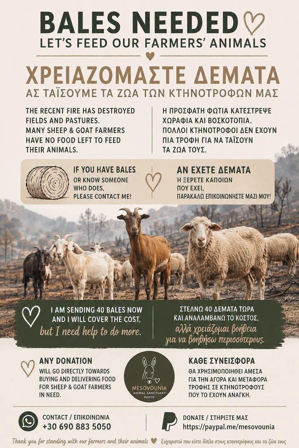 animals Οδηγίες από την Πανελλαδική Φιλοζωική και Περιβαλλοντική Ομοσπονδία για στήριξη των ζώων από τις πυρόπληκτες περιοχές
