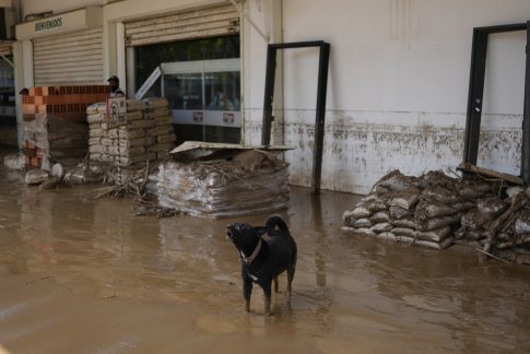 Κορυφώνονται στο Ζάππειο <br> οι εκδηλώσεις για την Ημέρα Εθελοντή Αιμοδότη