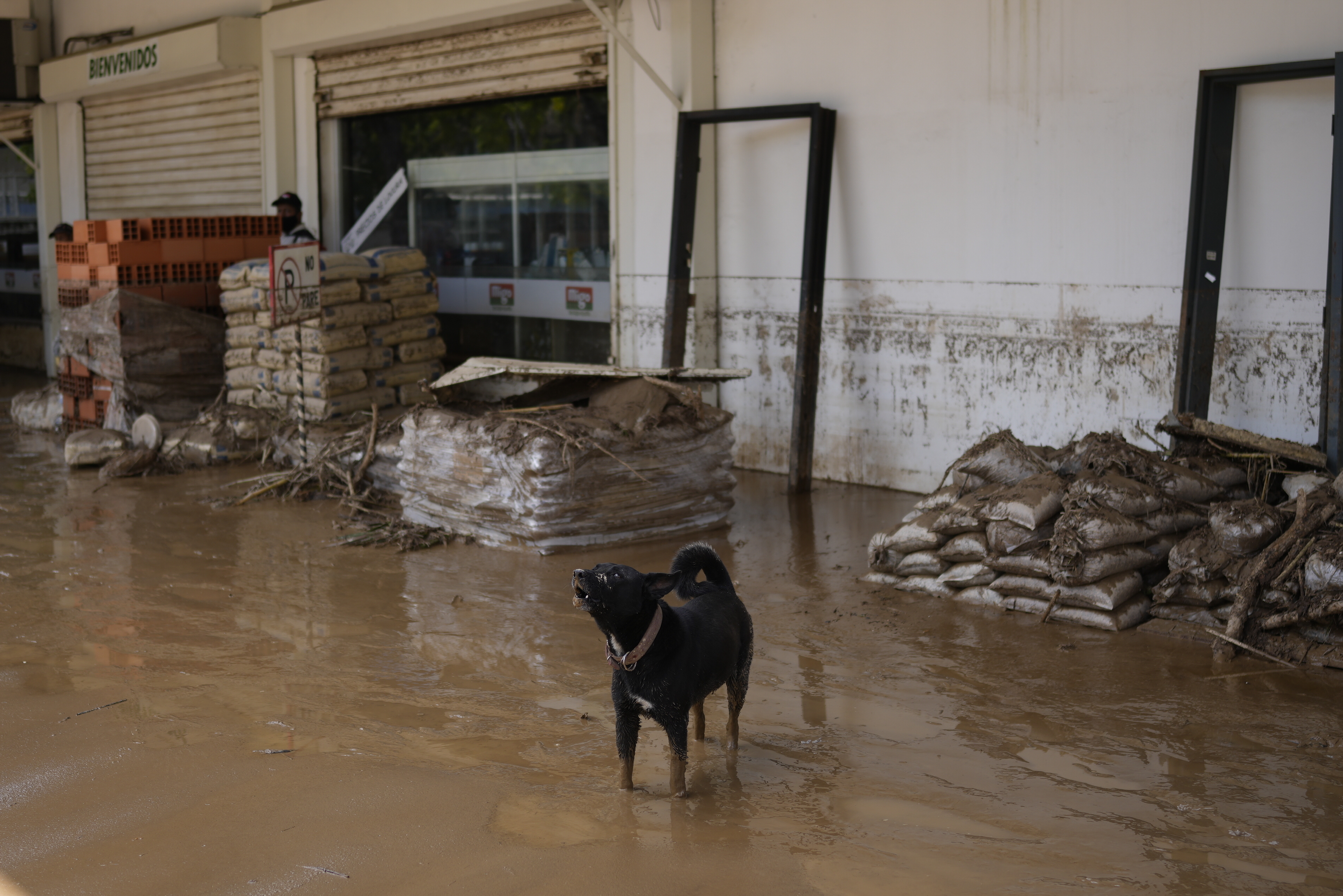 Βενεζουέλα: Τρεις νεκροί από έντονες βροχοπτώσεις που προκάλεσαν πλημμύρες