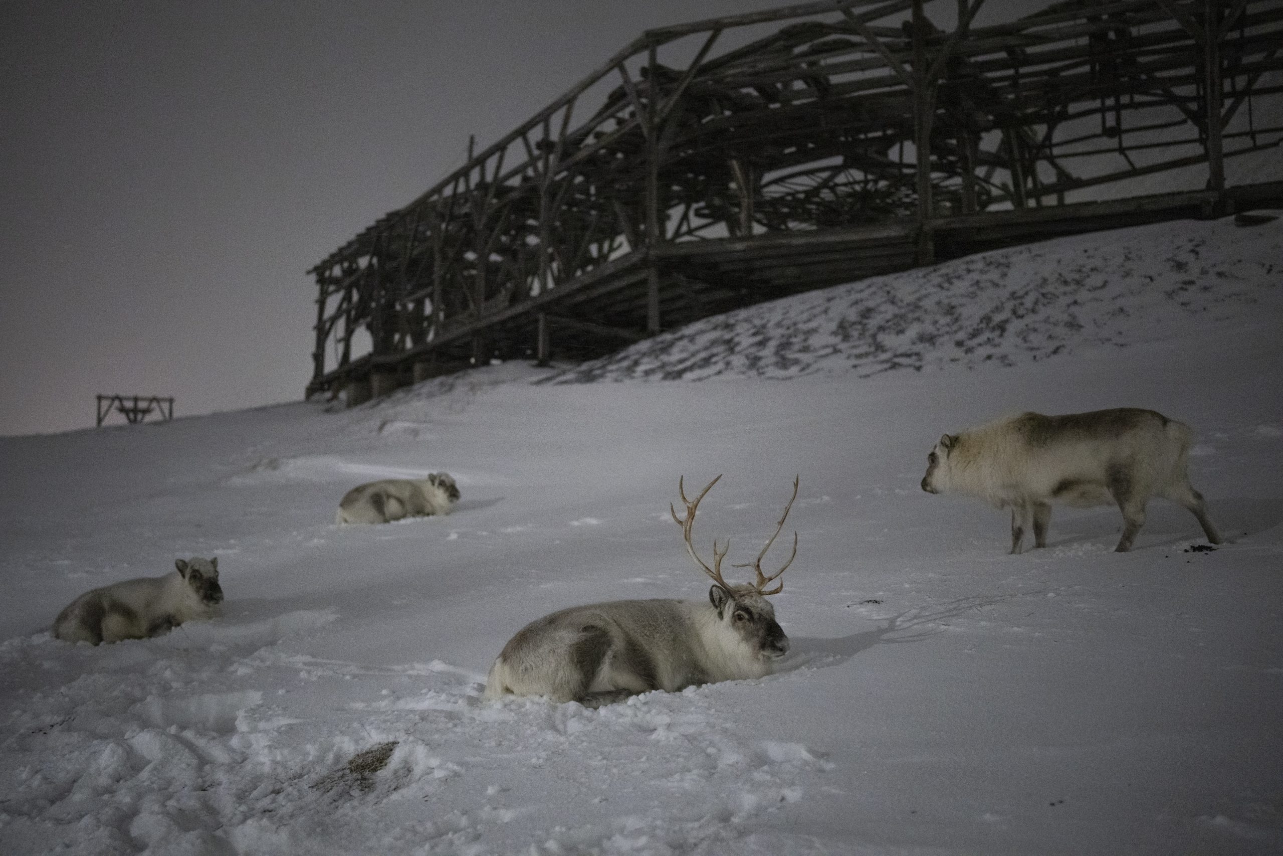 CorfuNews image
