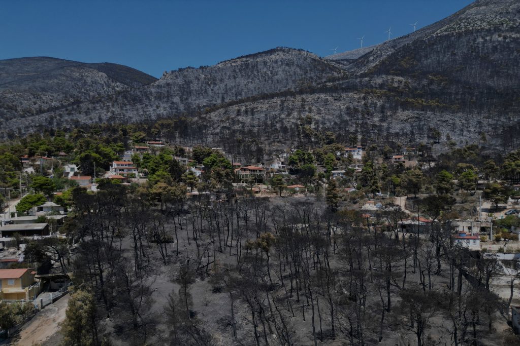 Δυτική Αττική: Η επόμενη ημέρα της καταστροφής ανάμεσα στη στάχτη και τα αποκαΐδια – Το αποτύπωμα της φωτιάς