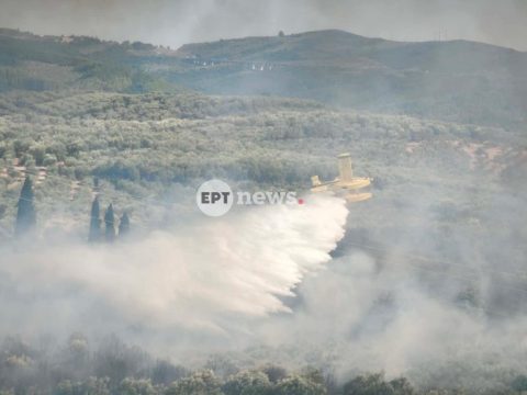 Αίγυπτος: 18 νεκροί σε ανατροπή φορτηγού που μετέφερε εργάτες