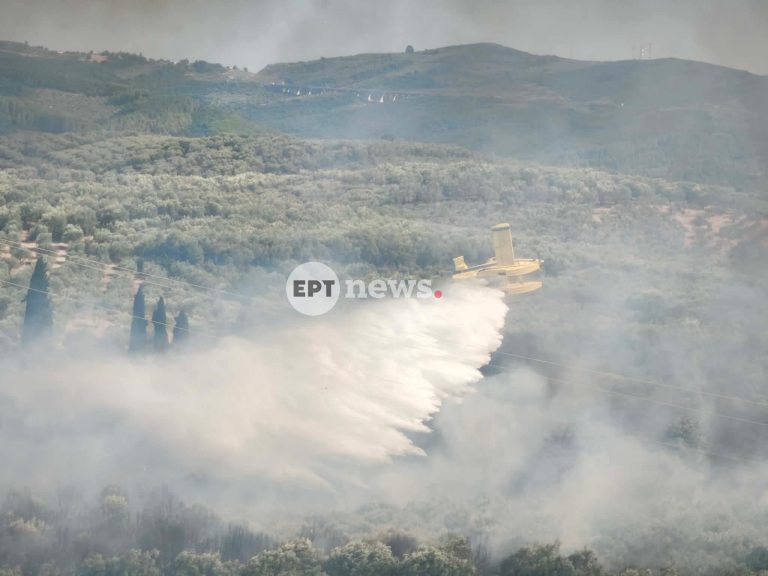 ​Νέα φωτιά στο Κομπότι Άρτας – Άμεση κινητοποίηση της Πυροσβεστικής