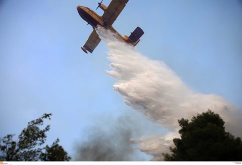 Φωτιά στο Αίγιο: Ολονύχτια μάχη στις Νεραντζιές – Επιχειρούν τέσσερα αεροσκάφη και δύο ελικόπτερα