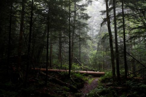 Τεχνητή νοημοσύνη και εικονικοί κόσμοι στην 10<sup>η</sup> έκθεση Άρτας